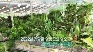 미리보기 이미지