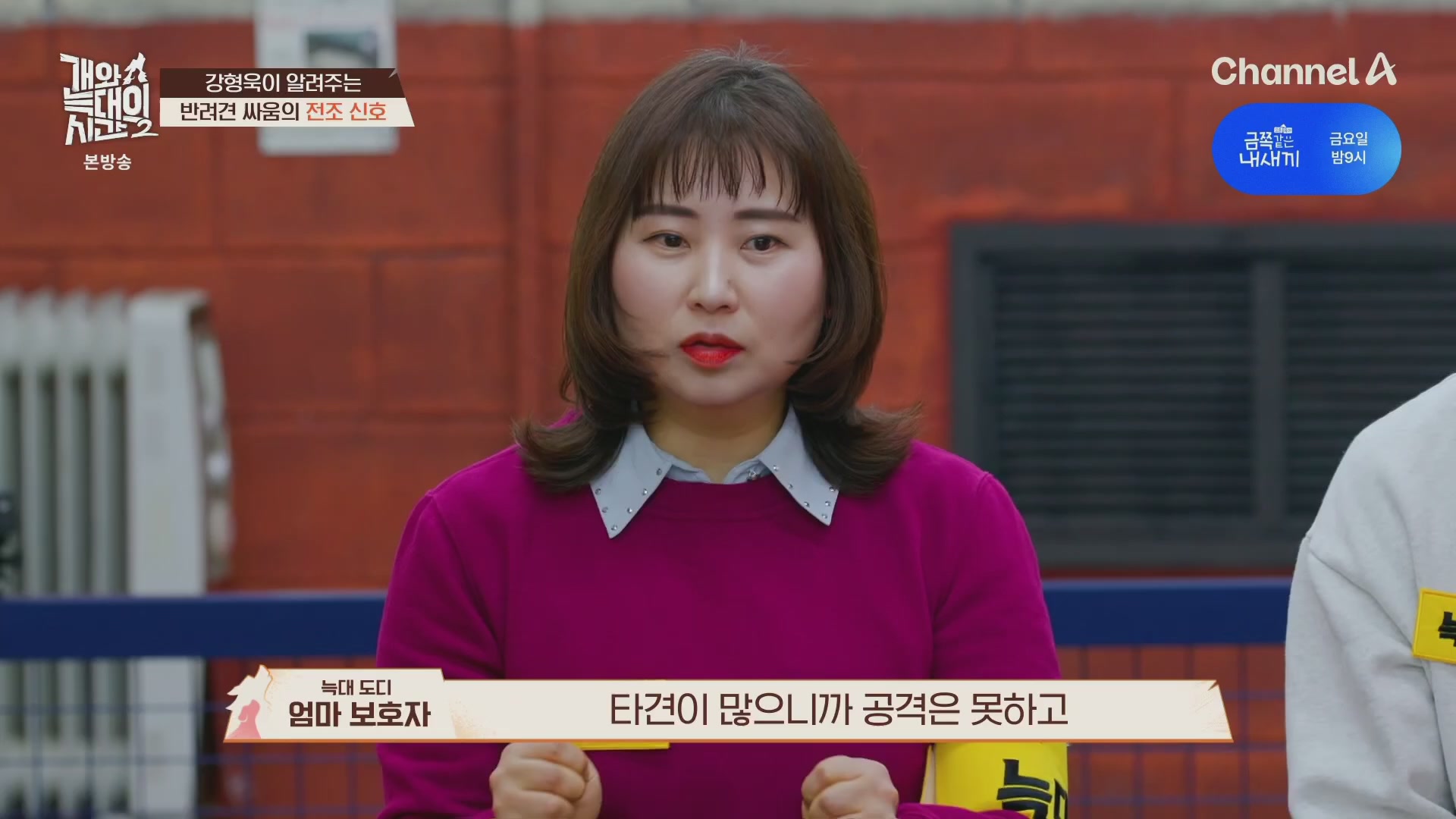 썸네일 이미지