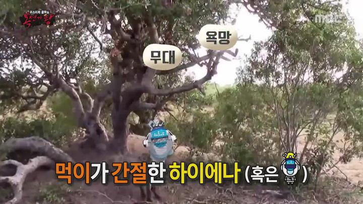 복면가왕.E157.180610.720p-NEXT 비디오 썸네일 이미지