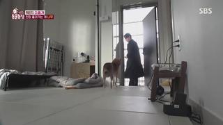 미리보기 이미지