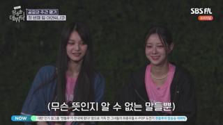 미리보기 이미지