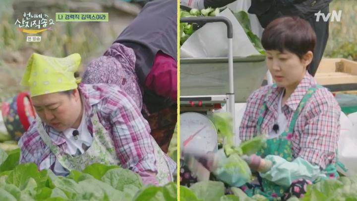 언니네 산지직송2.E12.250629.720p.KANNA 비디오 썸네일 이미지
