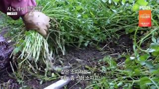 미리보기 이미지