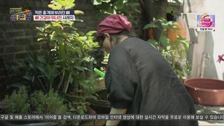 미리보기 이미지