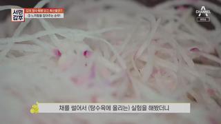 미리보기 이미지