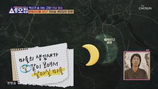 미리보기 이미지