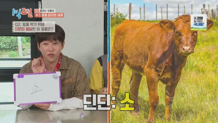 1박 2일 시즌4.E283.250713.720p.H264-F1RST 비디오 썸네일 이미지