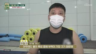 미리보기 이미지
