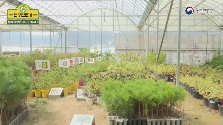 농업기술_정원 장미 전정요령 비디오 썸네일 이미지