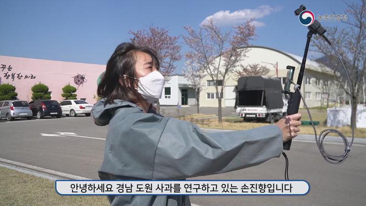사과 병해충 방제_사과나무 나무좀과 동해 예방을 위한 스프레이건 활용 방법 비디오 썸네일 이미지