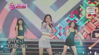 미리보기 이미지
