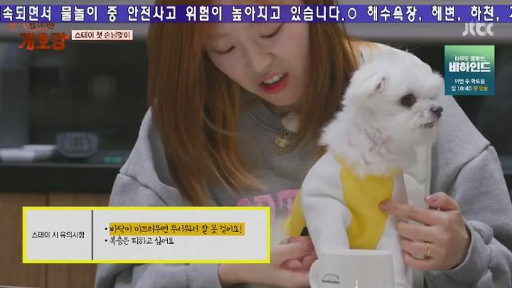 집 나가면 개호강.E06.250629.450p.HANNA 비디오 썸네일 이미지