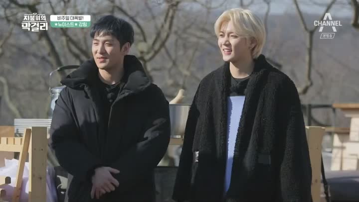 포스터