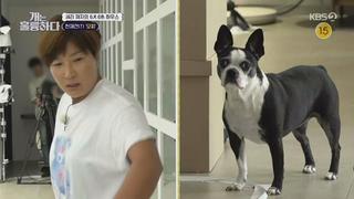 미리보기 이미지