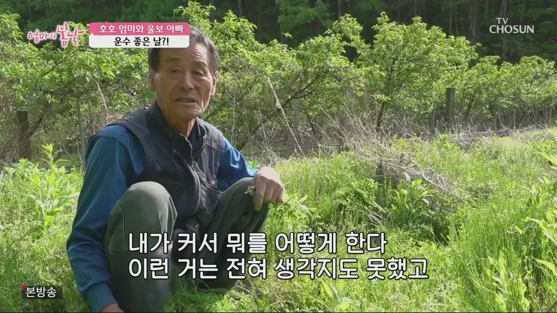 썸네일 이미지