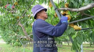 미리보기 이미지