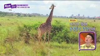 미리보기 이미지