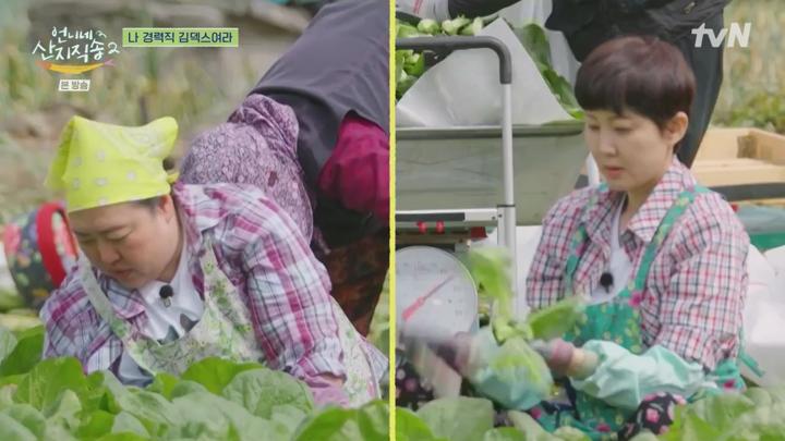 언니네 산지직송2.E12.250629.720p.HANNA 비디오 썸네일 이미지