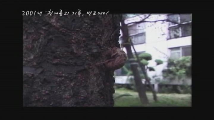 매미 여름내내 무슨일이 있었을까.WEBRip.720p.h264.AAC_snmv 비디오 썸네일 이미지