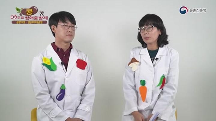 콩 주요 병해충 방제 - 검은뿌리썩음병_역병 비디오 썸네일 이미지