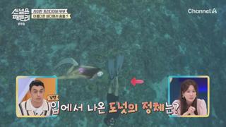 미리보기 이미지