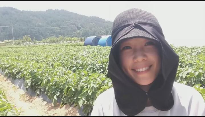 [감자재배] 감자수확시기 _ 감자캐는시기 비디오 썸네일 이미지