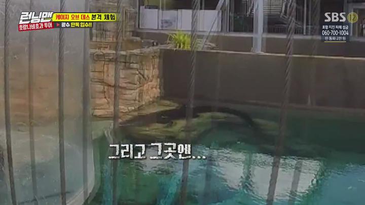 런닝맨.E511.(호주X뉴질랜드 벌칙 여행기 2탄).171203.720p-NEXT (런닝맨511회 런닝맨511화) 비디오 썸네일 이미지