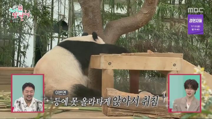 전지적 참견 시점.E307.240706.1080p.WANNA 비디오 썸네일 이미지