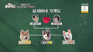 미리보기 이미지