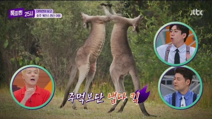 톡파원 25시.E164.250609.1080p.H265-F1RST 비디오 썸네일 이미지