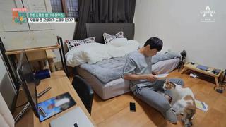 미리보기 이미지