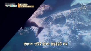 미리보기 이미지