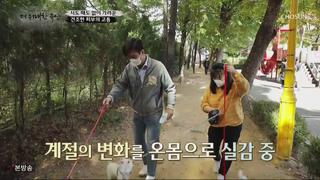 미리보기 이미지