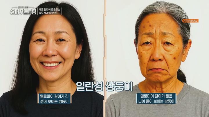 슈퍼푸드의 힘.E174.250615.1080p.H264-F1RST 비디오 썸네일 이미지