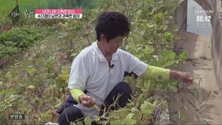 미리보기 이미지