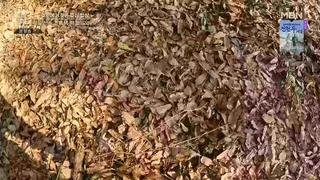 미리보기 이미지