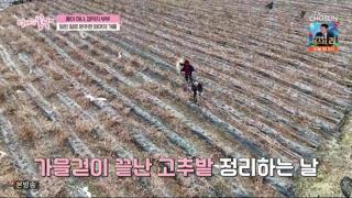 미리보기 이미지