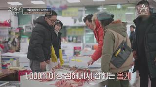 미리보기 이미지