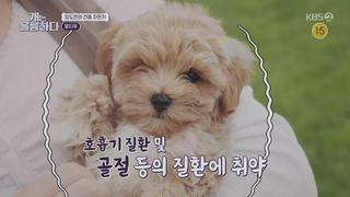 미리보기 이미지