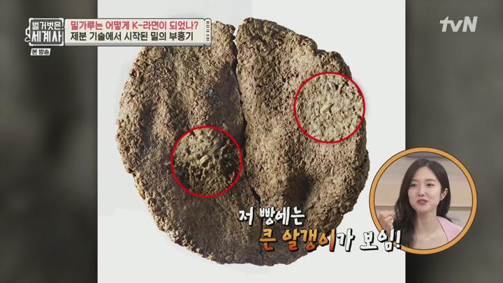 벌거벗은 세계사.E211.250708.1080p.H265-F1RST 비디오 썸네일 이미지