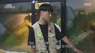 미리보기 이미지