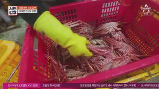미리보기 이미지