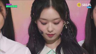 미리보기 이미지