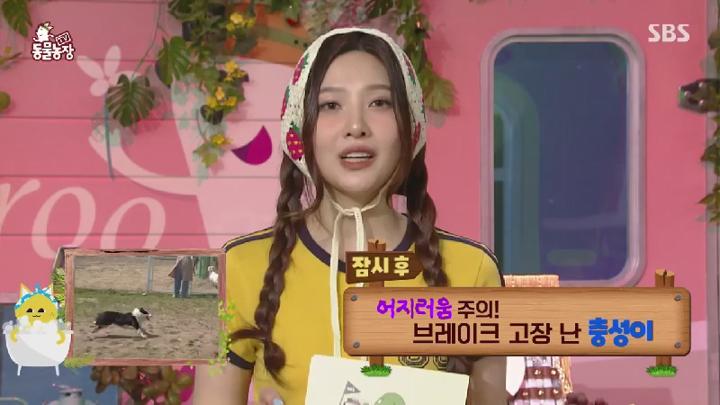 TV 동물농장.E1228.250706.450p.KANNA 비디오 썸네일 이미지