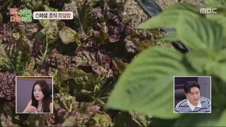 푹 쉬면 다행이야.E14.240812.450p.HANNA 비디오 썸네일 이미지