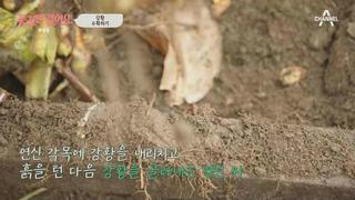 미리보기 이미지