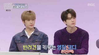 미리보기 이미지