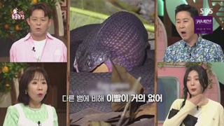 미리보기 이미지