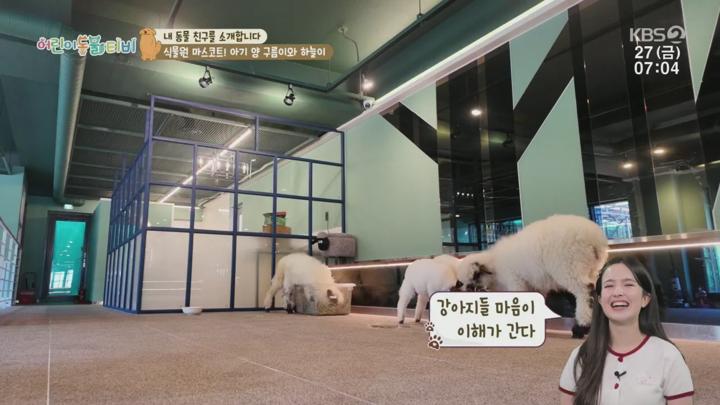 어린이 동물티비.E178.250627.720p.H264-F1RST 비디오 썸네일 이미지