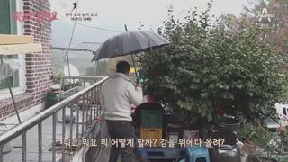 미리보기 이미지